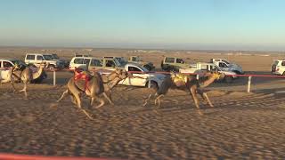 الجمعه    الموافقيناير الشوط الثاني بكار مفاريد م