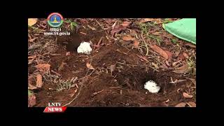 UXO-related accidents kill two people 2023