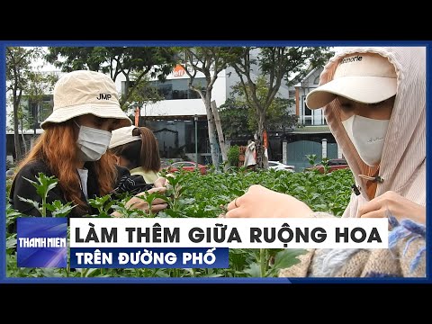 Video Nữ sinh 