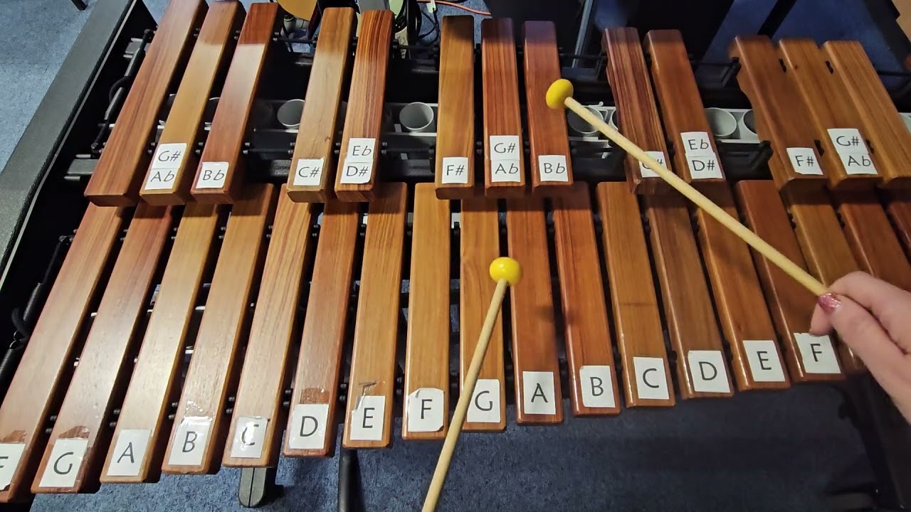 Simply The Best - N5 Xylophone Demo Video