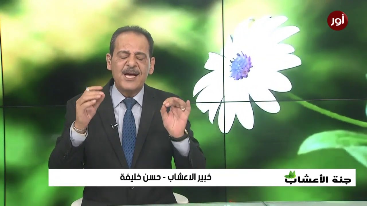 أهم فوائد الريحان مع خبير الاعشاب حسن خليفة - جنة الاعشاب