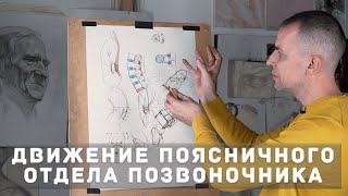 Поясничные позвонки - А. Рыжкин