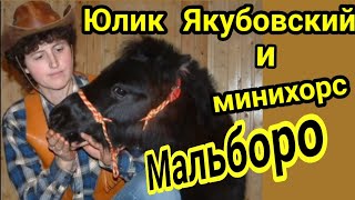 Дрессированная лошадка  Мальборо.Премьера.2007 г./Little horse Marlboro . Premier act .1 year olds . by Circus Yakubovskie.ru 3,449 views 2 years ago 5 minutes, 34 seconds