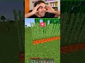 REAGISCO AI VIDEO PIÙ STUPIDI DI MINECRAFT