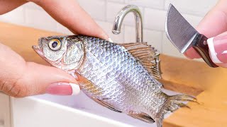 Best Of Mini Cooking | 1000+ PERFECT Miniature Seafood Recipe Ideas Compilation | ASMR Cooking Food