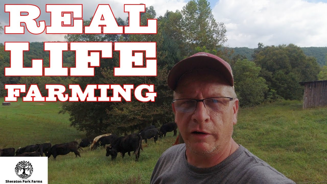 A Day In The Life Of A Farmer The Farm WORK No One Is Showing YouTube