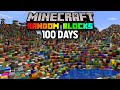 I Survived 100 Days In a Minecraft RANDOM BLOCK World (Here's what happened)