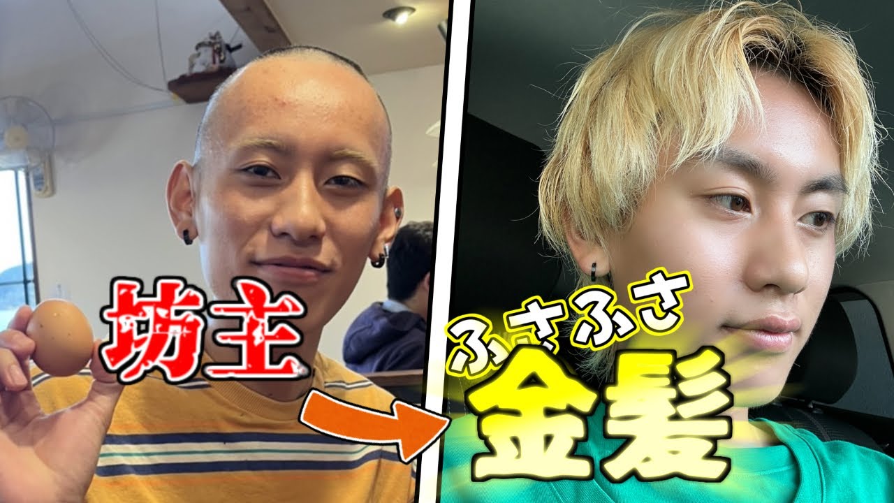 坊主 伸びる まで
