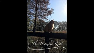 Winter Reflection No 6 The Promise Kept/Pipkin's Song
