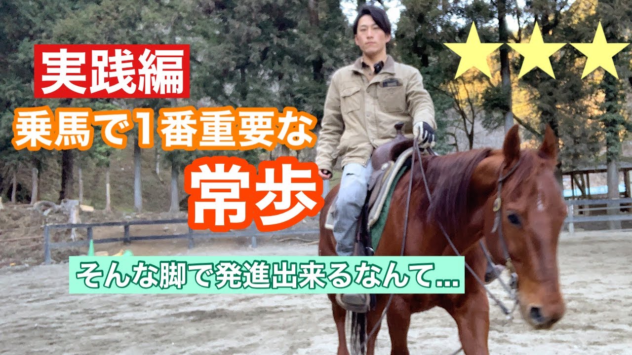 329.常歩でいつもやっている事【実践編】