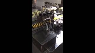automatic 1 color ball pen barrel pad printing machine