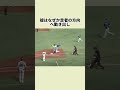 判定精度が50％と揶揄された審判・嶋田哲也 #プロ野球 #野球雑学 #野球#嶋田哲也