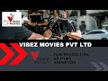 Film production company  vibez movies private limited