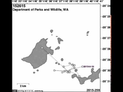 parks and rec characters Anna turtle tracking