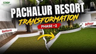 Pachalur Resort Landscape Transformation | Smart Irrigation System