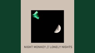 Lonely Nights - Night Monkey