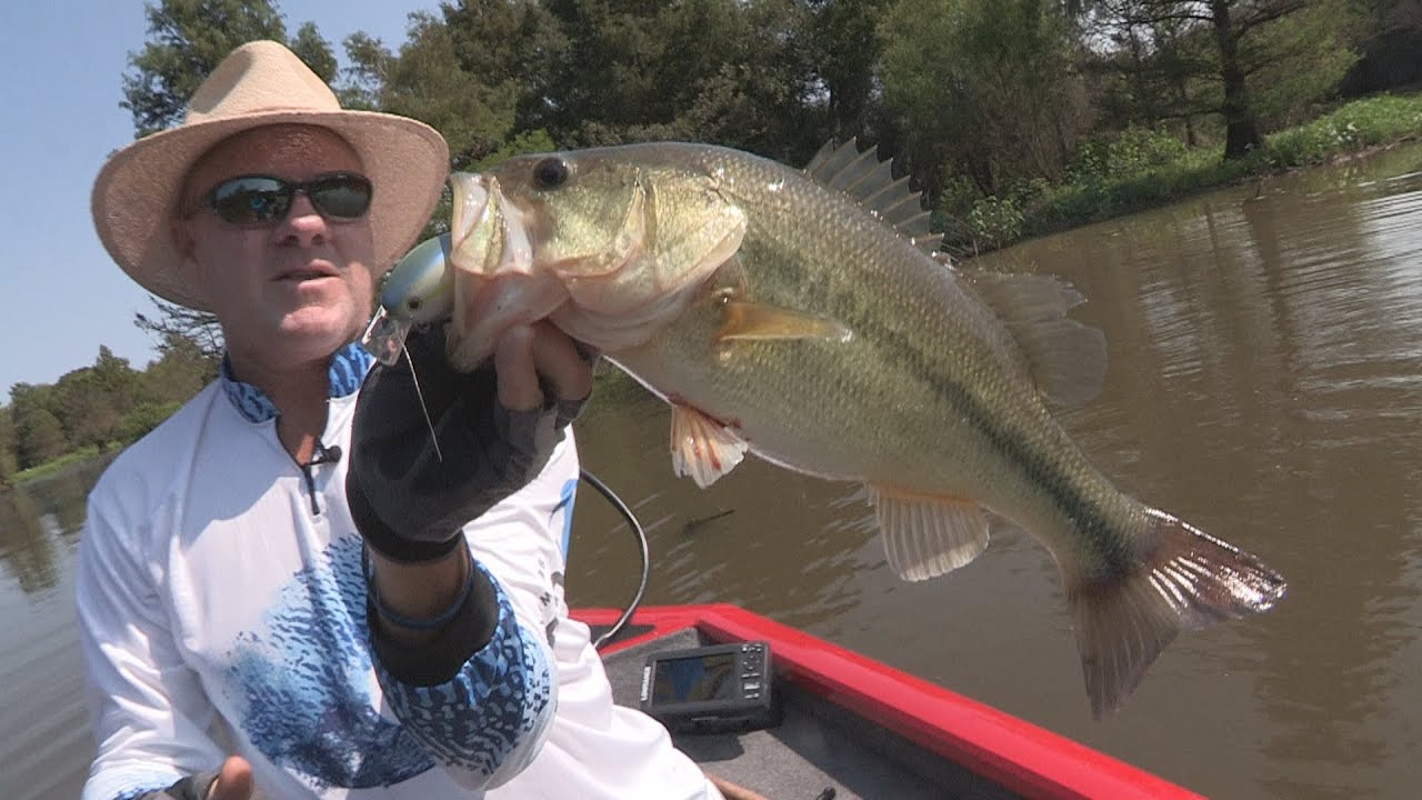 FOX Sports Outdoors SOUTHWEST 28 2015 Millwood Lake Arkansas Bass
