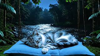 Riverside Slumber: Cat Napping with Gentle Water Sounds for Deep Rejuvenation