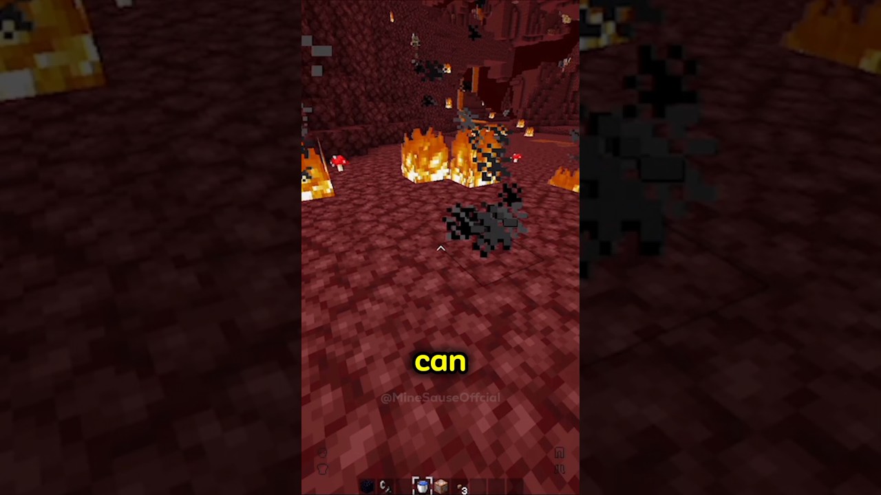 I broke Minecraft by putting water in the Nether #minecraft #glitch #scary