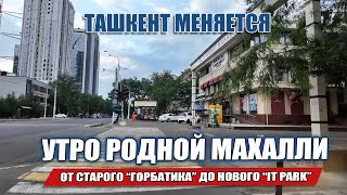 видео: ТАШКЕНТ МЕНЯЕТСЯ УТРО РОДНОЙ МАХАЛЛИ. ОТ СТАРОГО ГОРБАТИКА ДО НОВОГО IT PARK: РАЙОН ГЛАЗАМИ МЕСТНОГО картинка: ТАШКЕНТ МЕНЯЕТСЯ УТРО РОДНОЙ МАХАЛЛИ. ОТ СТАРОГО ГОРБАТИКА ДО НОВОГО IT PARK: РАЙОН ГЛАЗАМИ МЕСТНОГО