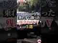 ビッグウェーブに乗れずに散った残念なSUV５選 #車好き#ドライブ #車 #ホンダエレメント #トヨタCHR