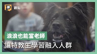 翻轉逆境！撫平浪浪創傷變成心輔犬 療癒特殊族群建立自信心｜公視P# 新聞實驗室