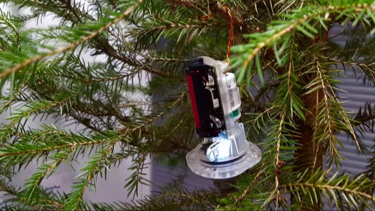 If a tree falls 2010