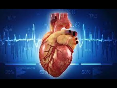 Human Heart मानवी हृदय व त्याचे कार्य