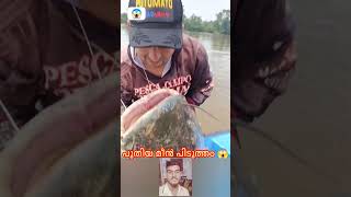 പുതിയ മീൻ പിടുത്തം #mallutraveler#fishingfreaks#shortsX#mallu#malayalam#m4tech