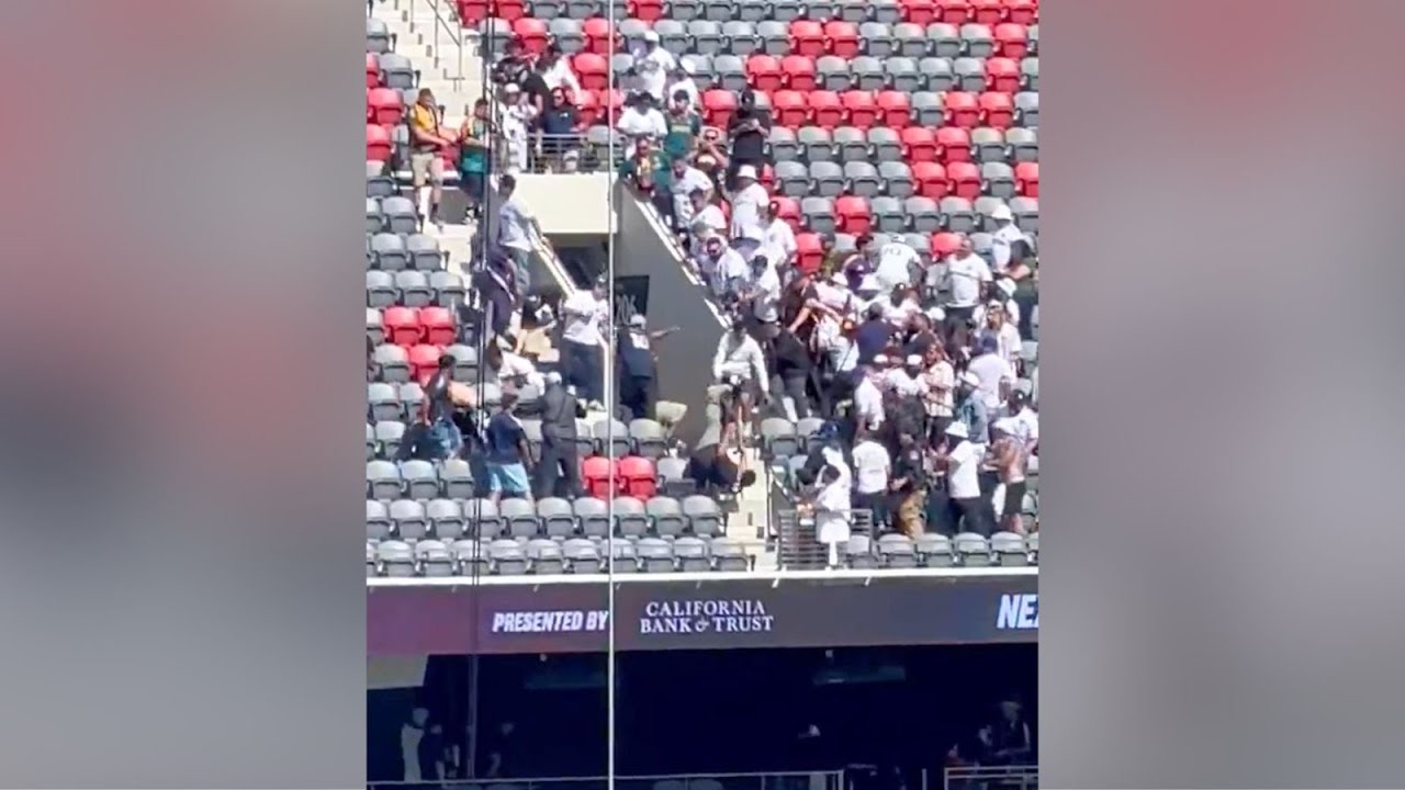 Video shows fan brawl break out after L.A. Galaxy game