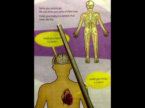 PART-2 INTERNAL PARTS OF HUMAN BODY - YouTube