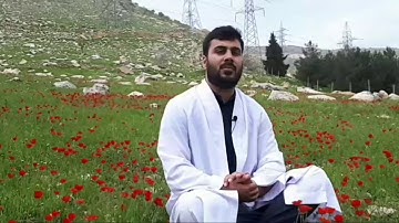 اجمل تلاوة واجمل احساس للقارئ نورالدين سليم نوري