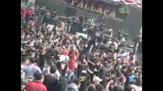 Oplosan Elsa Safira New pallapa Goa Wareh  Kedumulyo Sukolilo