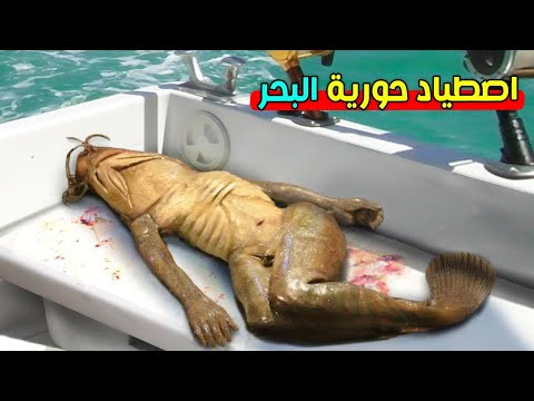 فيديو: 7 أشياء عن القلق الكلب الخاص بك والتي سوف تساعدك على مساعدتهم