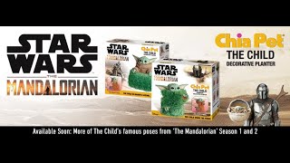 Star Wars The Mandalorian The Child Baby Yoda Chia Pet Decorative Planter