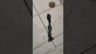 Como Desentupir Ralinho Do Banheiro Com Muito Cabelo