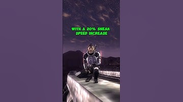 The STEALTHIEST Suit in New Vegas