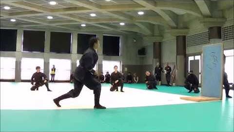 Bujinkan Embu in Ayase Shuriken-jutsu (throwing star)