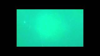 Egg clusters demolished but no hook-ups. screenshot 2