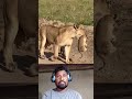 #viral #trending #reels #shorts #video #instareels #explore #fyp #viralvideo #status #love#instagram