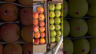 Apple Price In Kashmir India For 5 KG Box