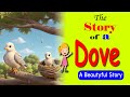 The story of a dove   story for kids in english  cartoon story in english l l emly kids zone l l