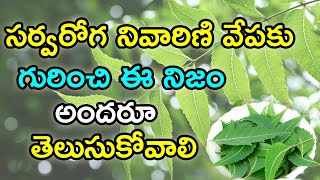 వేపాకు ఉపయోగాలు | Health Benefits of NEEM LEAVES in Telugu(2019) |  NRI TV