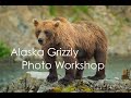 Alaska grizzly photo workshop