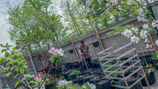 Building a 24 foot long trellis for our vertical garden