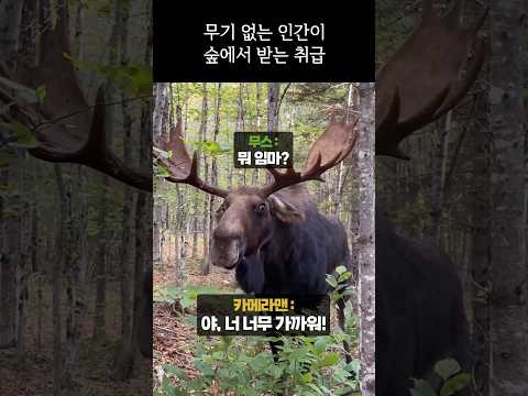 <strong>인간이</strong> 야생에서 받는 취급