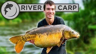How To Catch Carp From RIVERS  4 steps to catching river carp