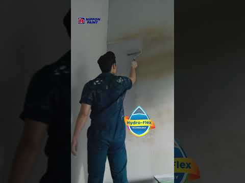 How Much Does Nippon Paint Cost