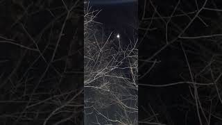 Crtc Moon Planets New Year New York 112023 20304