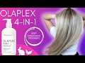 How To Repair Dry &amp; Damaged Hair With The NEW OLAPLEX 4-IN-1 PROFESSIONAL MOISTURE MASK